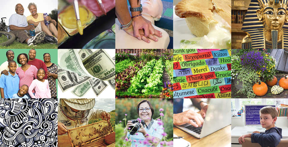 A collage portraying the wide variety of classes offered, including art, health, finance, music, history, languages, photography, technology and travel.