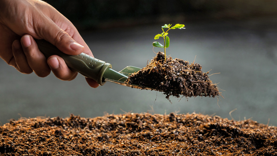 A hand scooping dirt.