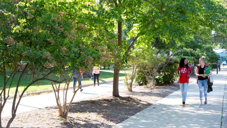 Two students smile at look at each other while walking down a shaded pathway outside on the LLCC campus.