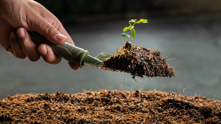 A hand scooping dirt.