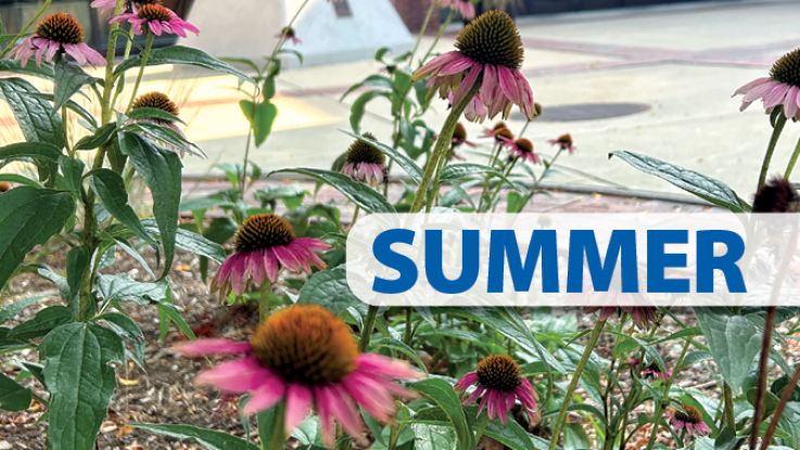 Summer. Photo of flowers on campus.