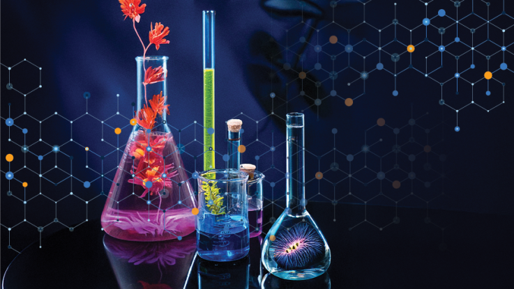 Glass lab flasks and cylinders with colorful liquids and flowers, set against a dark background with hexagonal molecular patterns.