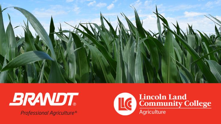Corn leaves with logos: BRANDT: Professional Agriculture and Lincoln Land Community College Agriculture