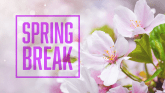 A vivid graphic that is pink in color with text that reads "spring break."