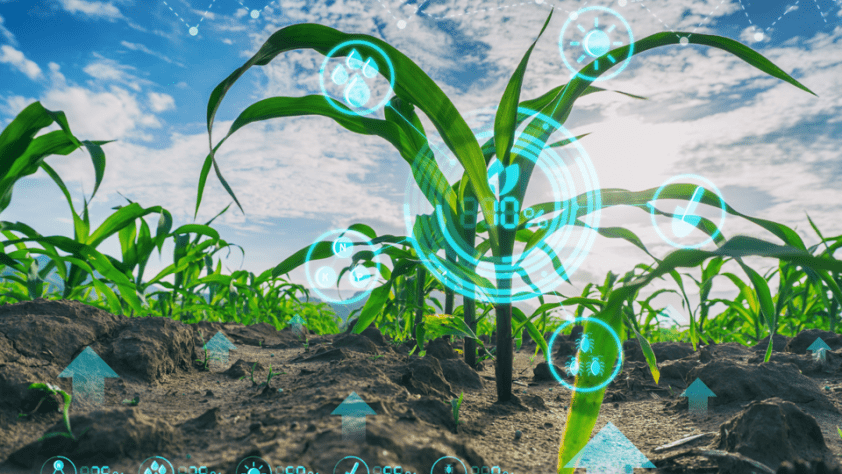 A stalk of corn against a blue sky is shown with different agricultural symbols overlaid.
