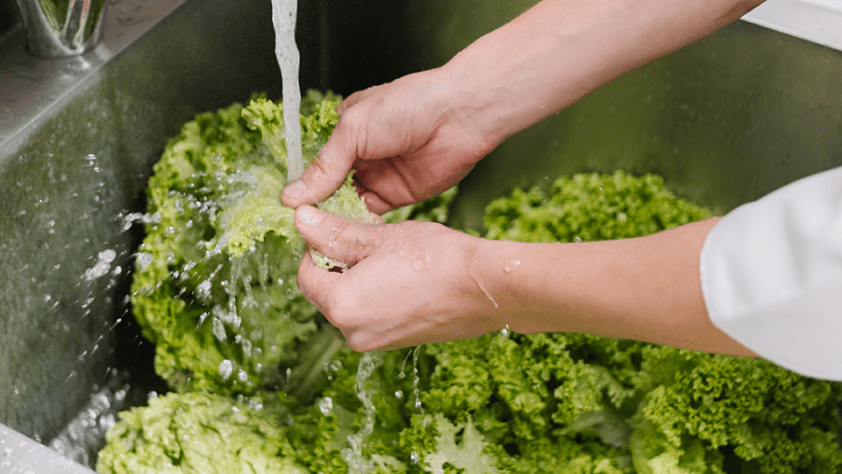 A closeup of a person washing broccoli in a sink.