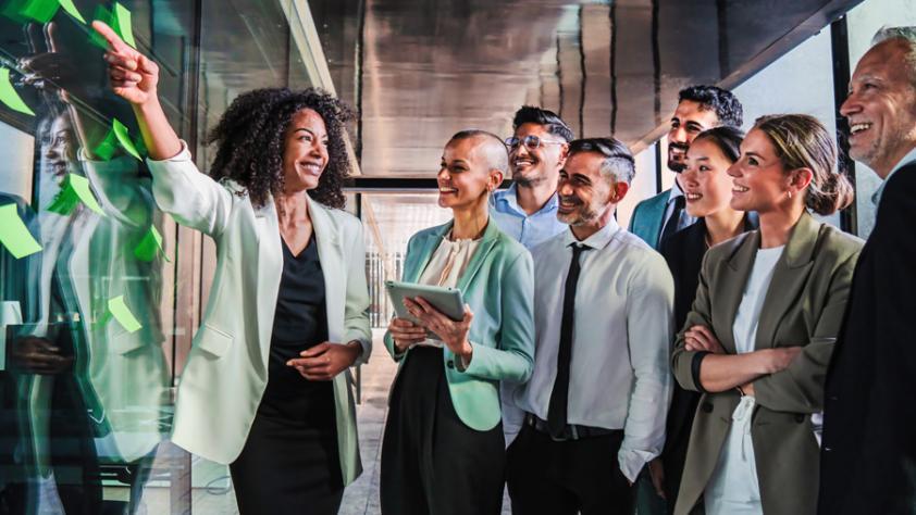 A group of business professionals