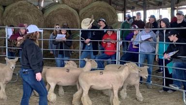 A group of students with pens and paper stand outside an animal pen containing five numbered sheep and a woman.