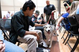 students petting a dog