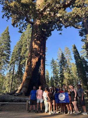 students holding an LLCC flag near a California Redwood tree