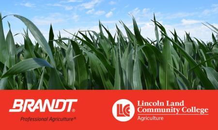 BRANDT: Professional Agriculture and Lincoln Land Community Corn leaves with logos: BRANDT: Professional Agriculture and